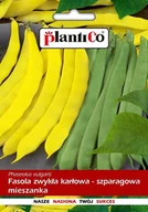 Nasiona i cebule - Fasola zwykła karłowa mix zielona i żółta 30 g Plantico - miniaturka - grafika 1