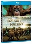 Galapagos Dzikie z natury Blu-ray David Lickley