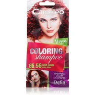 Farby do włosów i szampony koloryzujące - DELIA Cosmetics Cameleo Szampon koloryzujący 66.56 dzika śliwka - miniaturka - grafika 1