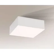 Lampy sufitowe - Shilo TOTTORI IL 8576 downlight natynkowy 10W/LED 4000K IP44 8576 - miniaturka - grafika 1