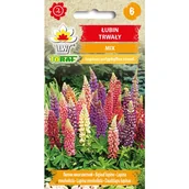 Nasiona i cebule - Łubin trwały mix nasiona kwiatów 1g TORAF - miniaturka - grafika 1