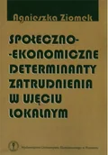 Ekonomia - Społeczno Ekonomiczne Determinanty Zatrudnienia - miniaturka - grafika 1