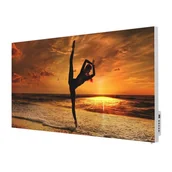 Ogrzewanie przenośne - TERMOFOL Grzejnik na podczerwień z grafiką Taniec o zachodzie słońca TF-SWT1000P - miniaturka - grafika 1