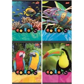 Zeszyty szkolne - 4 SZT. X ZESZYT A5, 32 KARTKI, W TRZY LINIE, EXOTIC COLORS, KAŻDY INNY - miniaturka - grafika 1