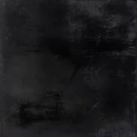 Wykładziny - Wykładzina Dywanowa Nelia Czarny 2,4M - miniaturka - grafika 1