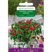 Nasiona i cebule - Papryka ostra Beered nasiona W.Legutko - miniaturka - grafika 1