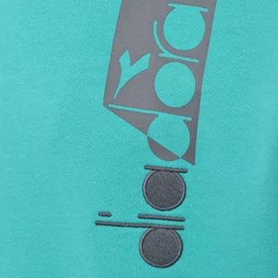 Bluza męska DIADORA HOODIE ICON - Bluzy męskie - miniaturka - grafika 3
