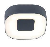 Lampy ogrodowe - Trio UBLO 6350102112 lampa ścienna sufitowa zewnętrzna LED 8W 4000K IP54 antracyt - miniaturka - grafika 1
