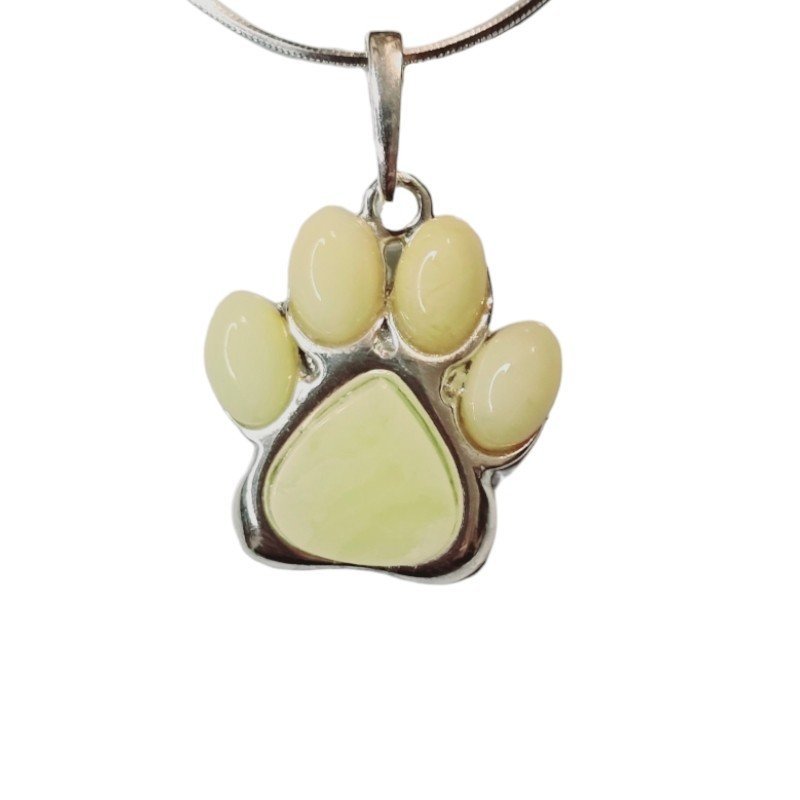 ankabizuteria.pl Srebrna zawieszka z żółtym bursztynem ŁAPKA