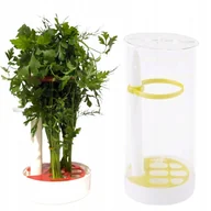 Pojemniki kuchenne - Pojemnik na przechowywanie pietruszki koperku ziół - miniaturka - grafika 1