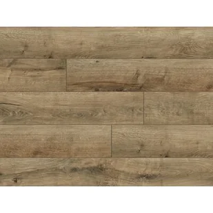 Panel Oak natural grey AC4 8 mm - Panele podłogowe - miniaturka - grafika 1