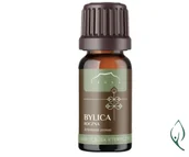 Zioła - Olejek BYLICA ROCZNA (Artemisia annua) Nanga 10ml - miniaturka - grafika 1