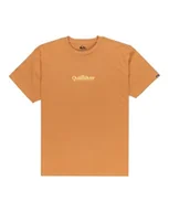 Koszulki męskie - Quiksilver Koszulka z krótkim rękawem EV Fineline SS brązowa 12 - miniaturka - grafika 1