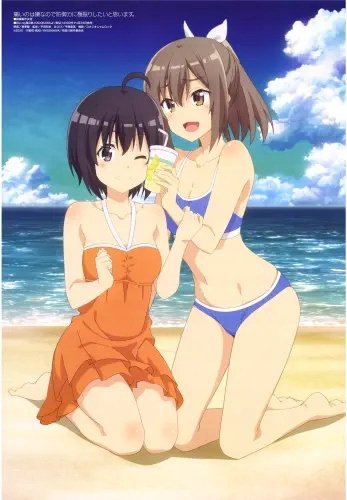 Plakat Anime Bofuri BOFURI_014 A2 (custom)