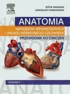 Przewodniki - Urban & Partner Anatomia narządów wewnętrznych i układu nerwowego człowieka Przewodnik do ćwiczeń - Zofia Ignasiak, Domaradzki Jarosław - miniaturka - grafika 1