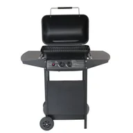 Grille gazowe - ACTIVA GRILL GAZOWY 5,4KW (11999) - miniaturka - grafika 1