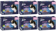 Mokra karma dla kotów - Purina Felix Fantastic Junior w galaretce 72x85g 50109-uniw - miniaturka - grafika 1