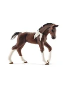 Zabawki kreatywne - Schleich Figurka "Trakehner Foal" - 5+ - miniaturka - grafika 1