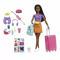 Lalki dla dziewczynek - Lalka Barbie „Brooklyn” Roberts Z Kotkiem I 10 Akcesoriami Hgx55 - miniaturka - grafika 1
