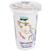 Kefiry, jogurty, maślanki - Krasnystaw Jogurt naturalny wapń, probiotyk - miniaturka - grafika 1