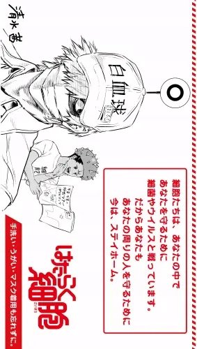 Plakat Anime Cells at Work hs_010 A2 (custom)