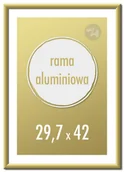 Ramki na zdjęcia - Ramka na zdjęcia 29,7x42 cm A3 Ramki aluminiowe 42x29,7 cm złota - miniaturka - grafika 1