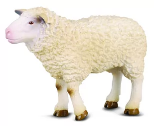 Collecta Owca M - Figurki dla dzieci - miniaturka - grafika 1