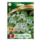 Nasiona i cebule - Legutko Czosnek niedźwiedzi - miniaturka - grafika 1