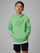 Bluzy dla chłopców - 4F Bluza dresowa regular z kapturem chłopięca - zielona 164 (13-14 lat) - miniaturka - grafika 1