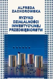 Ryzyko działalności inwestycyjnej przedsiębiorstw - Zarządzanie - miniaturka - grafika 1