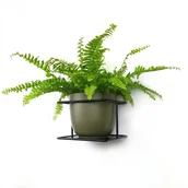 Kwietniki - Kwietnik metalowy na ścianę  Flora czarny/Domowe Kwietniki - miniaturka - grafika 1