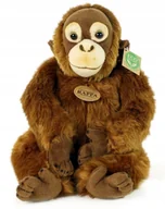 Maskotki i pluszaki - Maskotka Małpka Orangutan - 27cm - miniaturka - grafika 1
