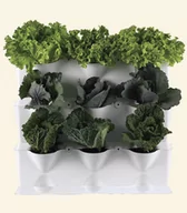 Systemy inteligentnych domów - Minigarden Vertical White MGSET1WH PROMOCJA Black Friday Codziennie! O 15:00 jeden produkt w wariackiej cenie MGSET1WH - miniaturka - grafika 1