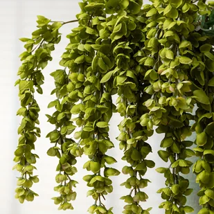 TEMU 1 Szt. 6 Przyborów 44,5'' Zielone Sztuczne Kwiaty Wisterii, Fałszywa Wisteria Wisząca Wstążka, Do Dekoracji Domu, Imprezy, Wazonu Na Podłogę, - Inne - miniaturka - grafika 1