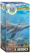 Puzzle - Eurographics Puzzle 250 Dolphins 8251-5560 - - miniaturka - grafika 1