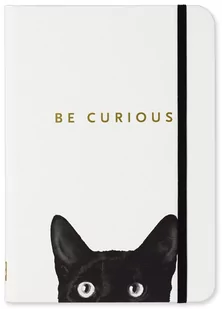 PETER PAUPER PRESS SM CURIOUS CAT JOURNAL - Pozostałe książki - miniaturka - grafika 1