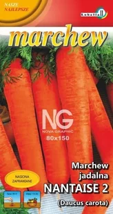 Marchew Nantaise 2 średniopóźna 5g / L / - Nasiona i cebule - miniaturka - grafika 1