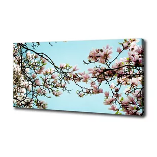 Foto obraz na płótnie Kwiaty magnolii - Obrazy i zdjęcia na płótnie - miniaturka - grafika 1