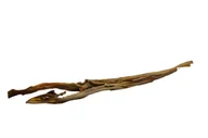 Przysmaki dla psów - MACED SKÓRA SARNA 45 CM 1 SZTUKA - miniaturka - grafika 1