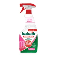 Inne artykuły czyszczące - Płyn do mycia kabin prysznicowych 600 ml Ludwik Maxx Power - miniaturka - grafika 1