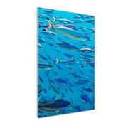 Obrazy i zdjęcia na płótnie - Foto obraz szkło akryl pionowy Koralowe ryby - miniaturka - grafika 1