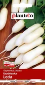 Nasiona i cebule - NASIONA Rzodkiewka Leda 5g PLANTICO 406391 - miniaturka - grafika 1