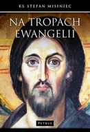 Religia i religioznawstwo - Na tropach Ewangelii - miniaturka - grafika 1