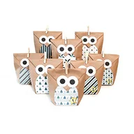 Ozdoby bożonarodzeniowe - Pajoma kalendarz adwentowy do napełniania, niebieska sowa, 24 torebki z papieru typu kraft, torebki na prezenty, Boże Narodzenie, kalendarz bożonarodzeniowy, zestaw do majsterkowania z naklejkami, klamerkami - miniaturka - grafika 1