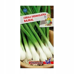 Cebula siedmiolatka Bajkal 2g / O / - Nasiona i cebule - miniaturka - grafika 1