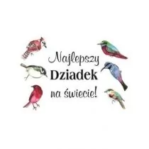 Szaron Magnes - Najlepszy Dziadek - Magnesy - miniaturka - grafika 1