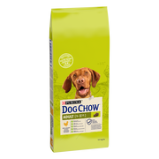 Sucha karma dla psów - Purina Dog Chow Mature Adult 5+ Chicken 14 kg - miniaturka - grafika 1