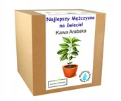 Nasiona i cebule - KAWA ARABICA drzewo kawowe prezent dla chłopaka - miniaturka - grafika 1