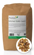 Owoce świeże i suszone - Planteon Morwa biała owoc 5kg 2-0293-01-6 - miniaturka - grafika 1