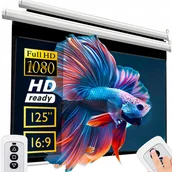 Ekrany projekcyjne - EKRAN PROJEKCYJNY ŚCIENNY ELEKTRYCZNY 265x179 CM 125" DUŻY FULL HD + PILOT - miniaturka - grafika 1
